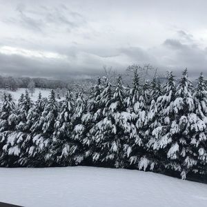 Meet your Posher, Maryann